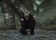 The Elder Scrolls V: Skyrim