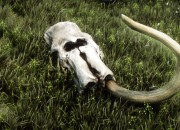 The Elder Scrolls V: Skyrim