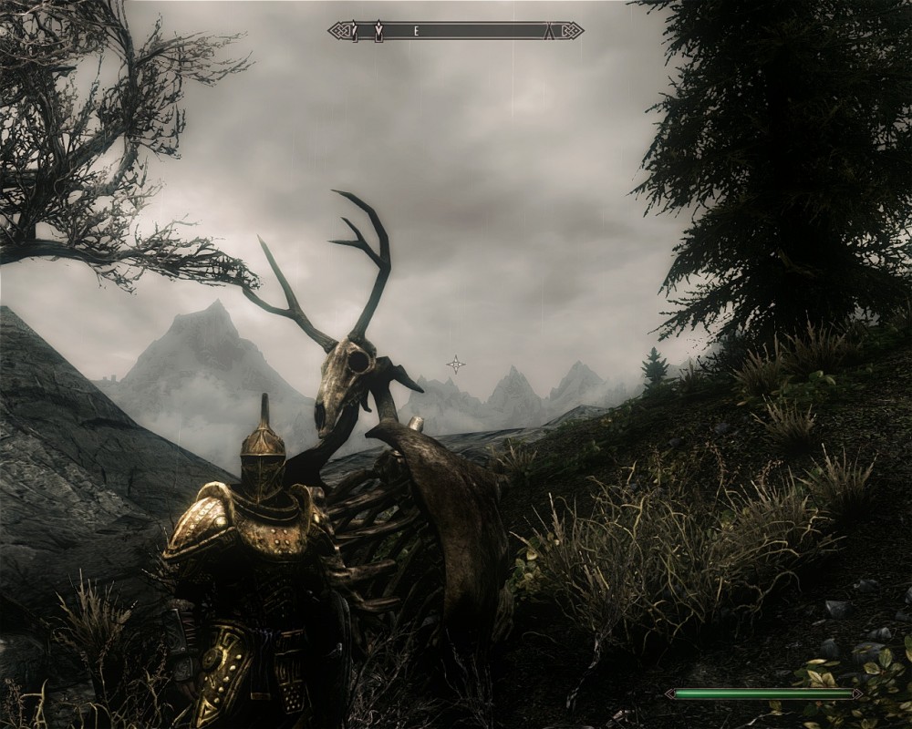 The Elder Scrolls V: Skyrim