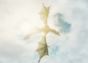 The Elder Scrolls V: Skyrim
