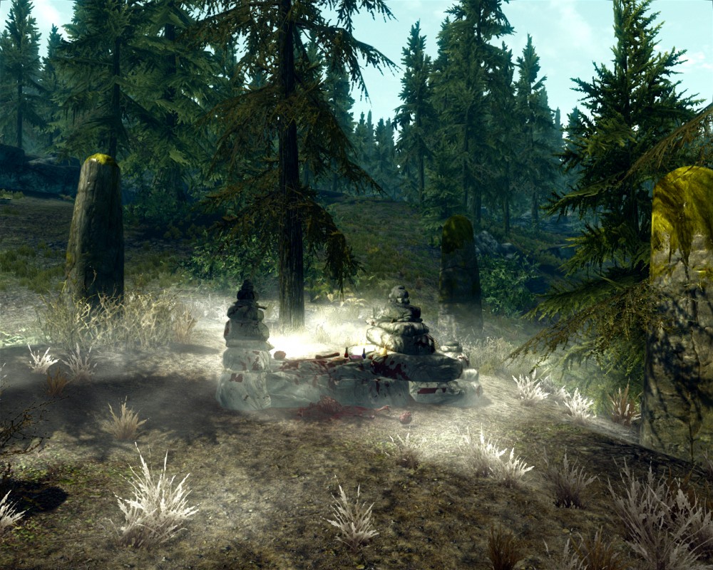 The Elder Scrolls V: Skyrim