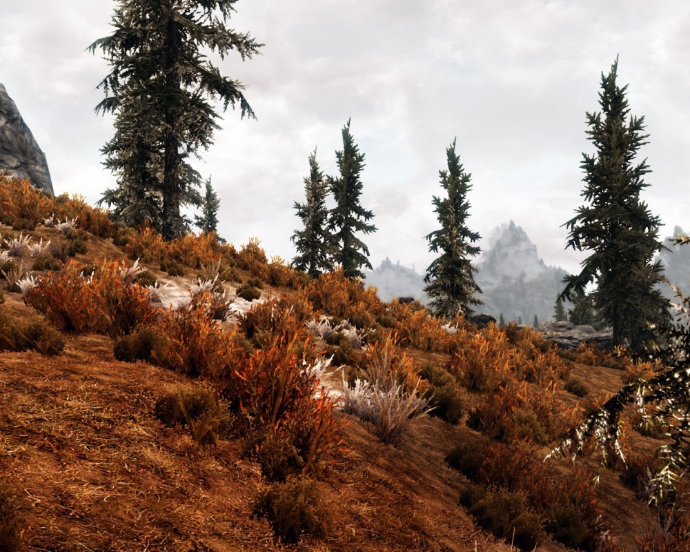 The Elder Scrolls V: Skyrim