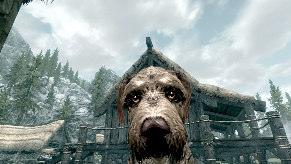 The Elder Scrolls V: Skyrim