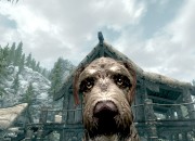 The Elder Scrolls V: Skyrim