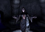 The Elder Scrolls V: Skyrim