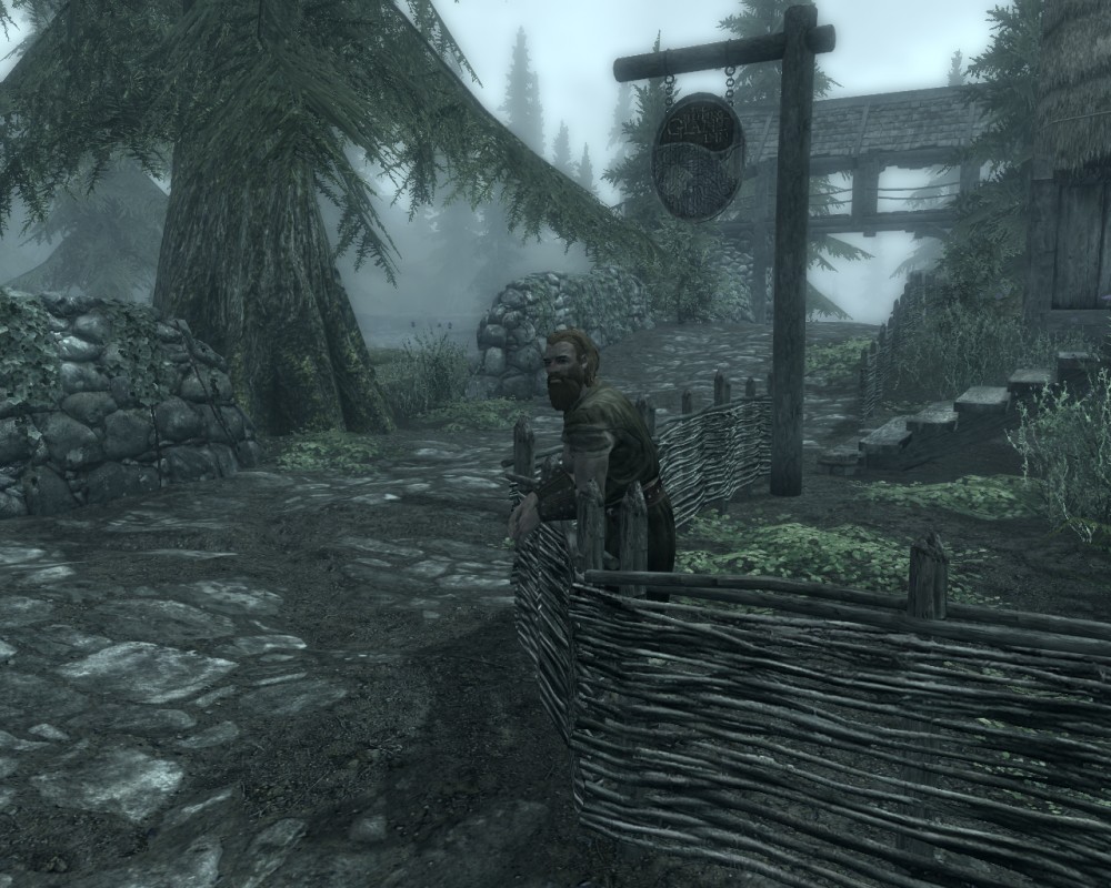 The Elder Scrolls V: Skyrim