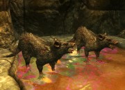 The Elder Scrolls V: Skyrim