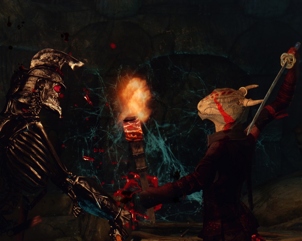 The Elder Scrolls V: Skyrim