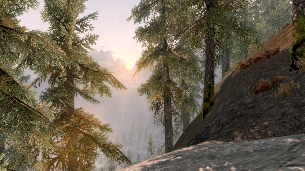 The Elder Scrolls V: Skyrim