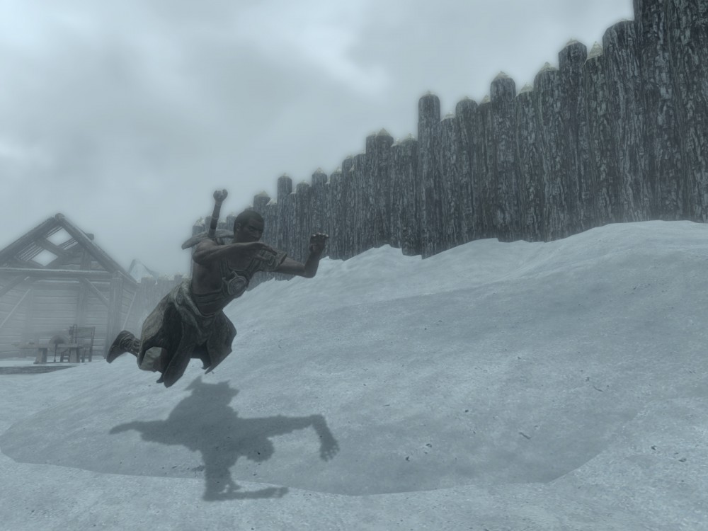 The Elder Scrolls V: Skyrim