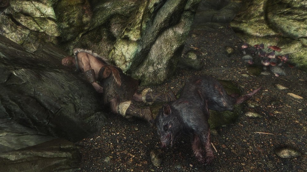 The Elder Scrolls V: Skyrim
