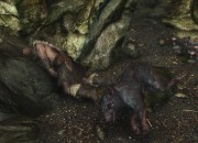 The Elder Scrolls V: Skyrim