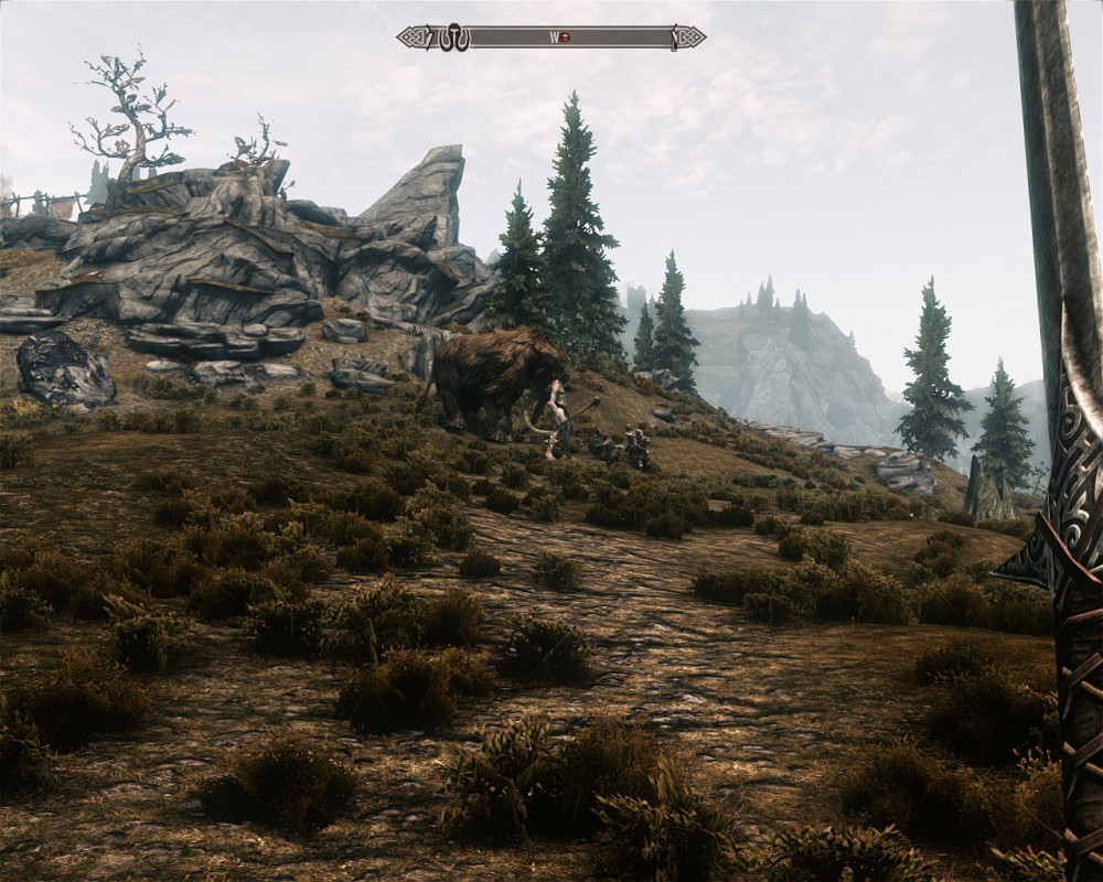 The Elder Scrolls V: Skyrim