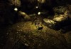 The Elder Scrolls V: Skyrim