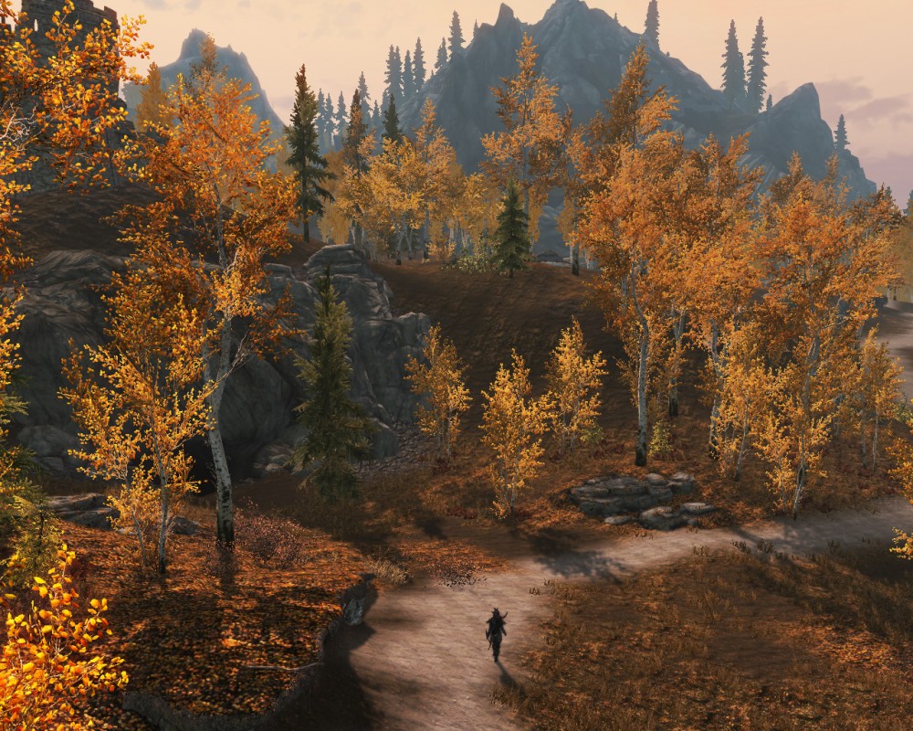The Elder Scrolls V: Skyrim