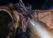 The Elder Scrolls V: Skyrim