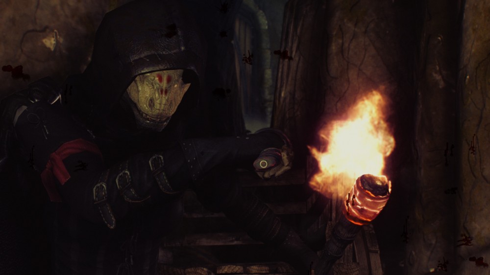 The Elder Scrolls V: Skyrim