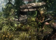 The Elder Scrolls V: Skyrim