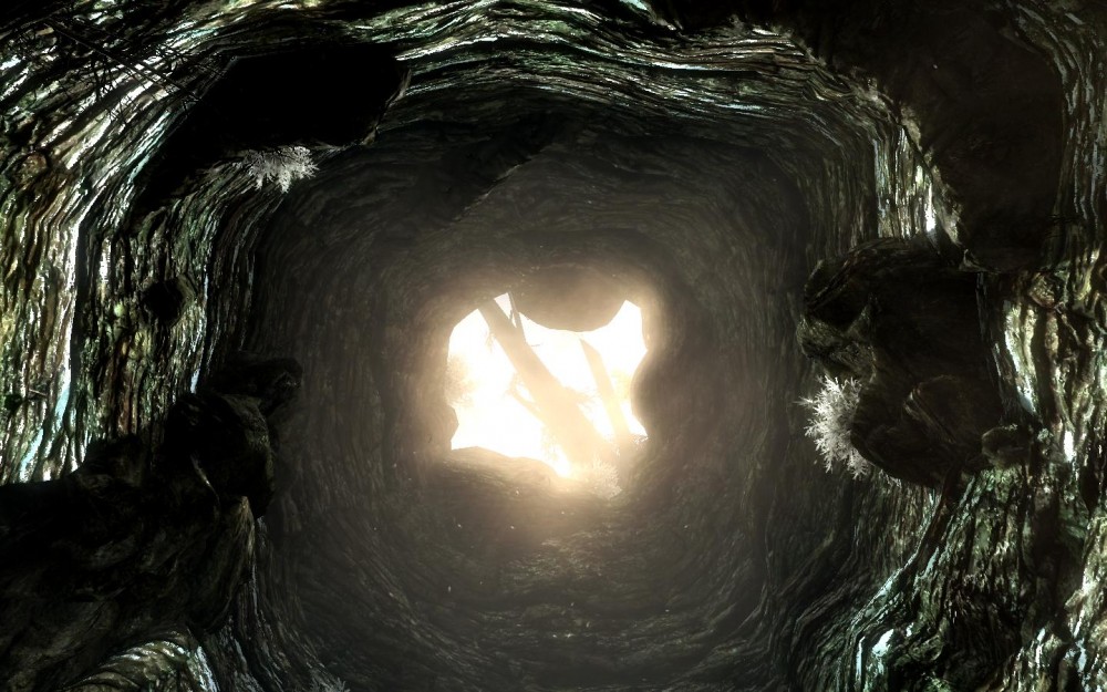 The Elder Scrolls V: Skyrim