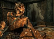 The Elder Scrolls V: Skyrim
