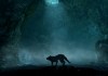 The Elder Scrolls V: Skyrim