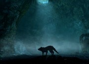 The Elder Scrolls V: Skyrim