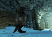The Elder Scrolls V: Skyrim