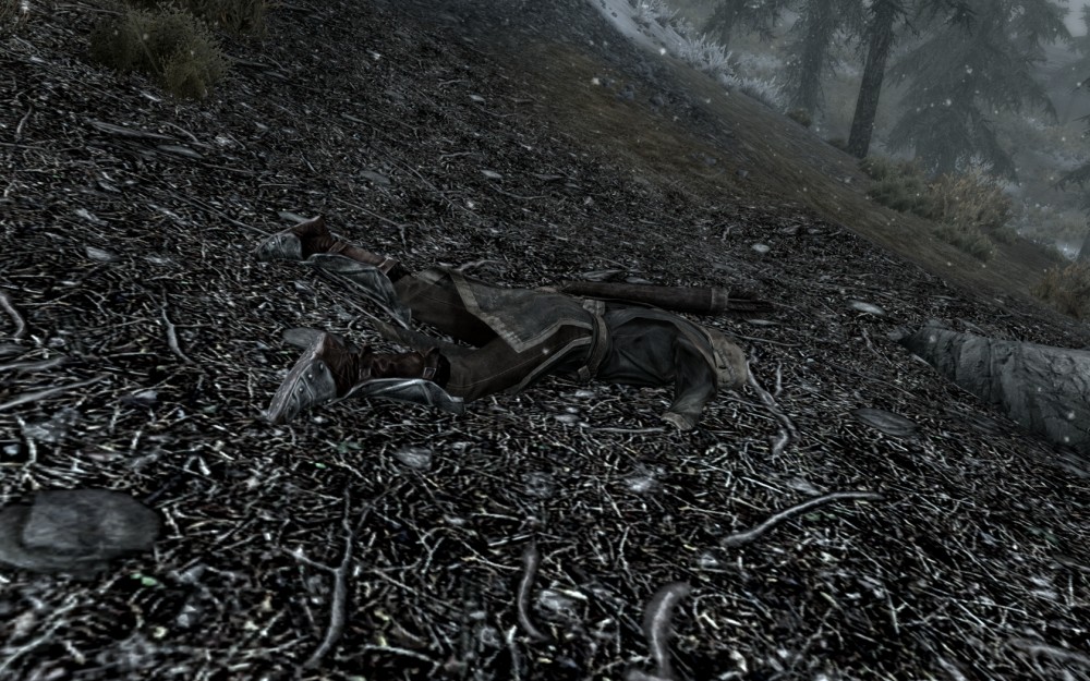 The Elder Scrolls V: Skyrim