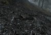 The Elder Scrolls V: Skyrim