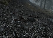 The Elder Scrolls V: Skyrim