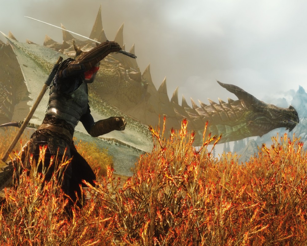 The Elder Scrolls V: Skyrim