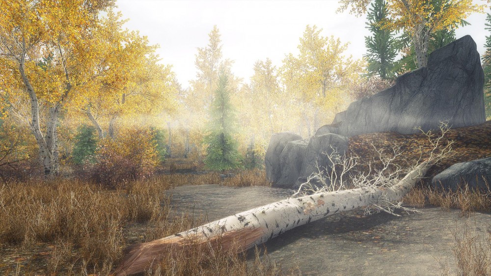 The Elder Scrolls V: Skyrim