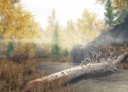 The Elder Scrolls V: Skyrim
