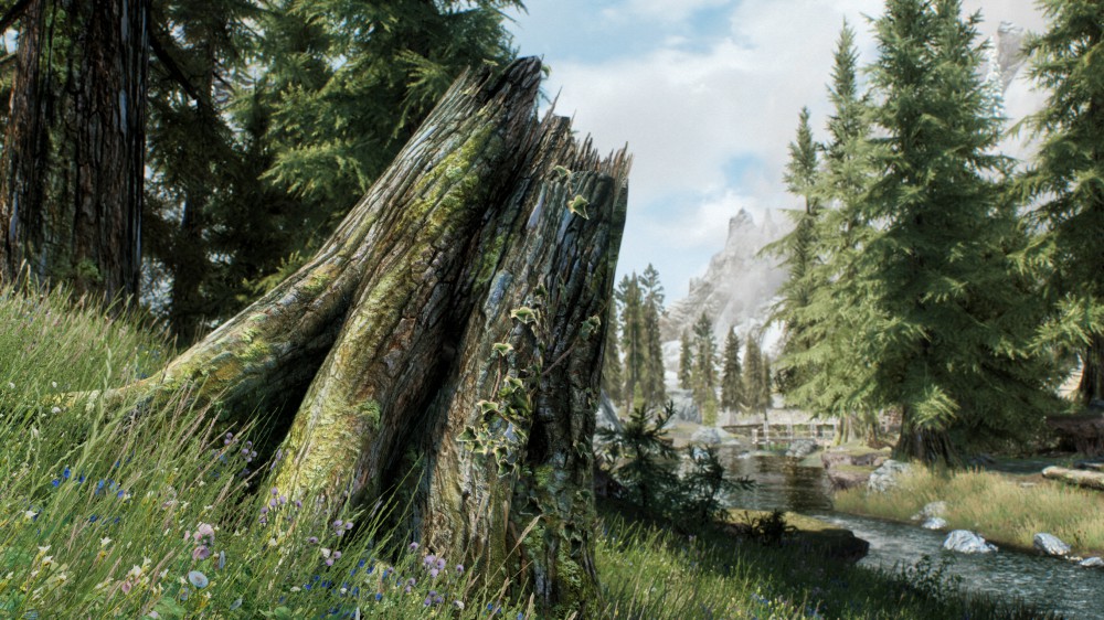 The Elder Scrolls V: Skyrim