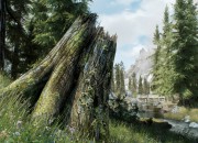 The Elder Scrolls V: Skyrim