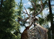 The Elder Scrolls V: Skyrim