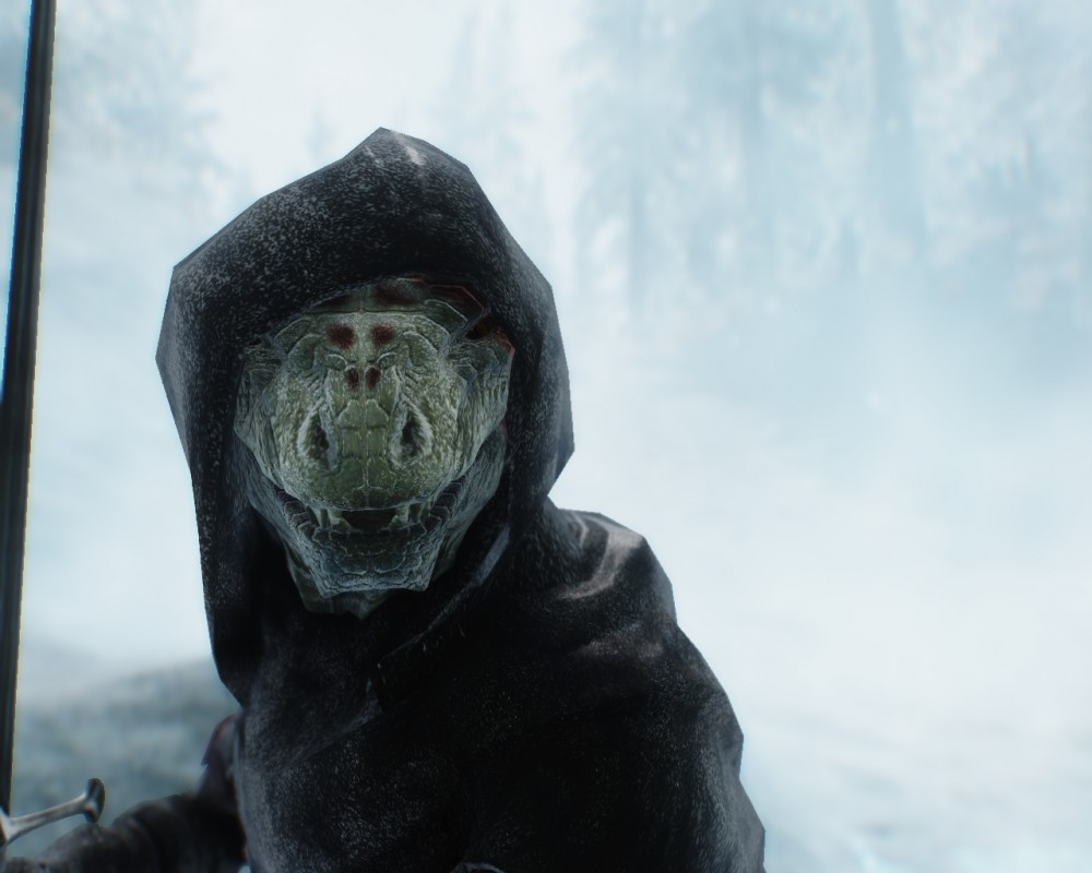 The Elder Scrolls V: Skyrim