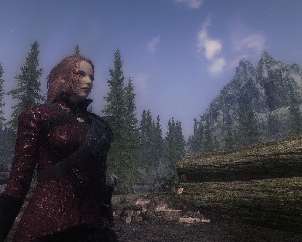 The Elder Scrolls V: Skyrim