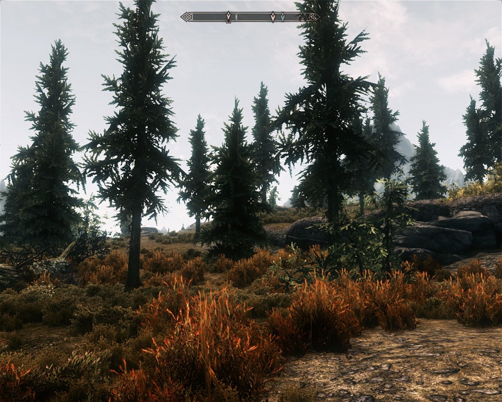 The Elder Scrolls V: Skyrim