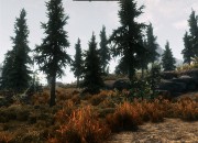 The Elder Scrolls V: Skyrim