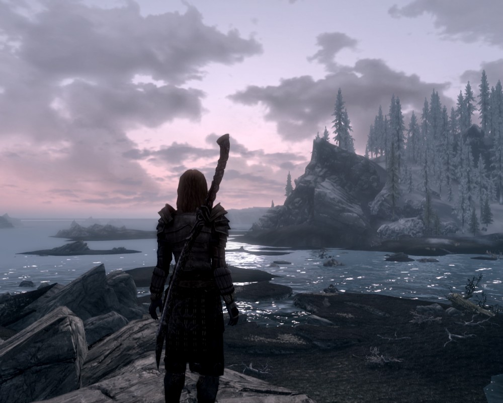 The Elder Scrolls V: Skyrim