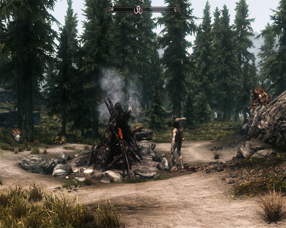 The Elder Scrolls V: Skyrim