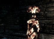 The Elder Scrolls V: Skyrim