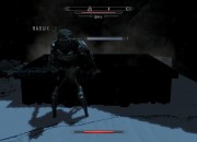 The Elder Scrolls V screenshot