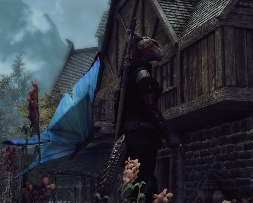 The Elder Scrolls V: Skyrim