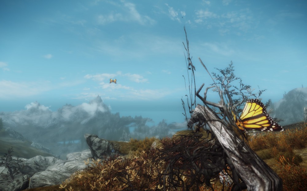 The Elder Scrolls V: Skyrim