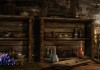 The Elder Scrolls V: Skyrim