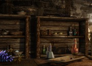 The Elder Scrolls V: Skyrim