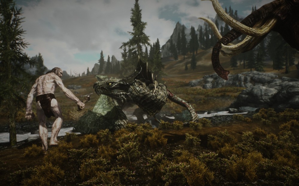 The Elder Scrolls V: Skyrim