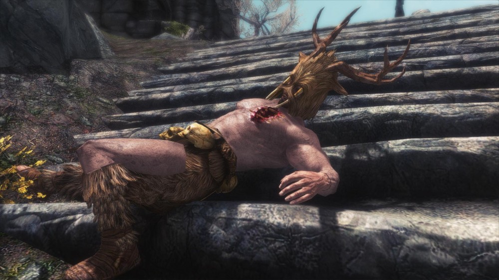 The Elder Scrolls V: Skyrim